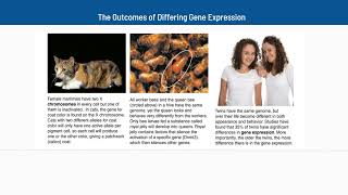 21 The Outcomes of Differing Gene Expression [upl. by Angie]