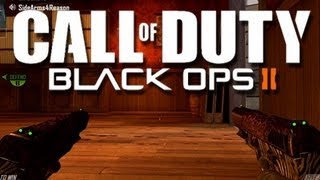 Black Ops 2 Comedy Killcams 11 Funny Killcams with Random Reactions [upl. by Eillam]