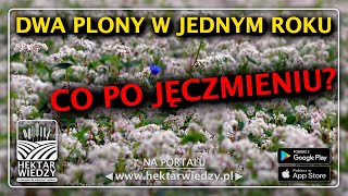 DWA PLONY W JEDNYM ROKU  CO PO JĘCZMIENIU  HEKTAR WIEDZY [upl. by Ycal]