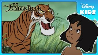 🐯 Mowgli Faces Shere Khan  Jungle Book  Disney Kids [upl. by Nioe]