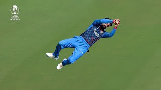 Rashid Khan 10 Best Catches amp RunOuts In Cricket 🔥 [upl. by Martelli456]