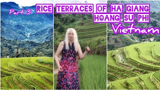 HOANG SU PHI VIETNAM RICE TERRACES Easy Rider Dirt Bike Ride by ADEYTO [upl. by Adnouqal]