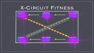 PE Games  X Circuit [upl. by Dirfliw]