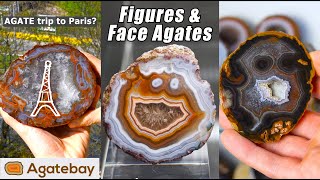 Crazy special Figures and Faces in Agates Diving Agate Penguin😅 4K [upl. by Modie]