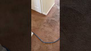 How we deliver amazing carpet cleaning Results carpetcleaning [upl. by Nahtaoj634]