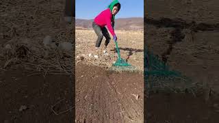 Electric tricycle youtubeshorts farmequipmen agriculturetools subscribe [upl. by Saied]