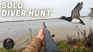 Public Land Solo Diver Duck Hunt [upl. by Tegdirb155]