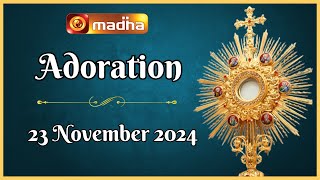 🔴 LIVE 23 November 2024 Adoration 1100 AM  Madha TV [upl. by Mick]