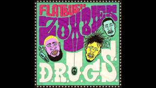 Flatbush Zombies  SCOSA Prod By Erick Arc Elliott [upl. by Raeann]