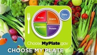 Choose My Plate Dietary Guidelines [upl. by Win]