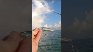 Pesca a spinning Señuelo para aguas revueltas [upl. by Luapleahcim808]