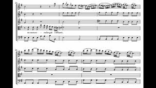 Antonio Vivaldi  Sovente il sole  The Shanghai Camerata and Meili Li  score animation [upl. by Nomzed985]