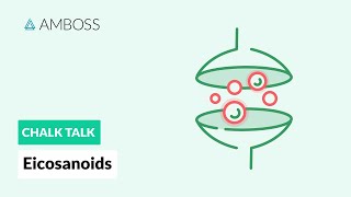 Eicosanoids Formation Function and Subclasses [upl. by Eimak]