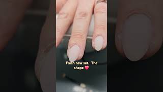 Fresh set BIAB overlay byfelicia biaboverlay biabnails biab [upl. by Llenyt]