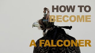 How To Become A Falconer [upl. by Eseila]