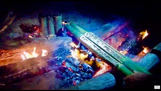 Fire Cooking In Bamboo Overnight Catch and Cook Fishing Adventure [upl. by Eniamahs]