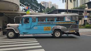 The Jeepneys in the Philippines 🇵🇭 Walking Tour at Ayala Avenue travel [upl. by Aneekat843]