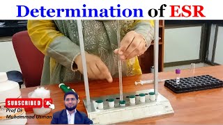 Determination of Erythrocyte Sedimentation Rate ESR  ESR measurement  Physiology practical [upl. by Anyel656]