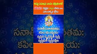 Vishnu sahasranamam  Shloka 96 [upl. by Ariem772]