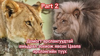 Сүүлгүй Цаала эрслэнгийн тэмцэл Парт2 Гоё түүхүүд Goe tuuhuud mongol heleer kino duu Arslangiin tuuh [upl. by Burchett]