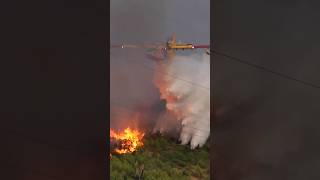 BULLSEYE  Canadair CL415 Water Bomber [upl. by Am]