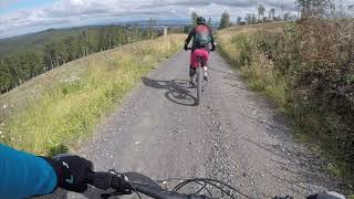 MTB Abfahrt vom Fuchstanz am Feldberg im Taunus [upl. by Mareld904]