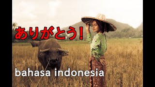 インドネシア語で「ありがとう」の言い方と発音 [upl. by Soule]