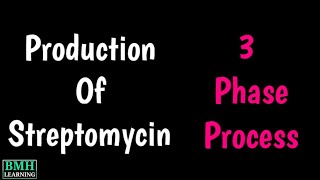 Streptomycin Production  Microbial Production Of Streptomycin  Streptomycin Industrial Production [upl. by Lau]