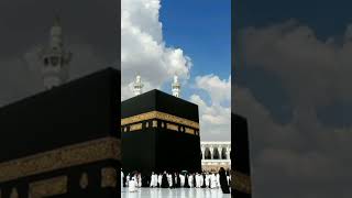 allah allahuakbar madina [upl. by Zoe]