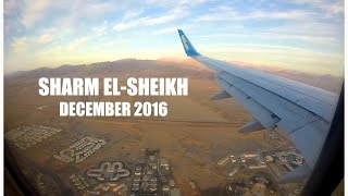 Посадка в аэропорту Шарм Эль Шейх 2016  Arrival in Sharm ElSheikh airport [upl. by Sewoll]