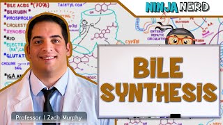 Gastrointestinal  Bile Synthesis [upl. by Marabelle]