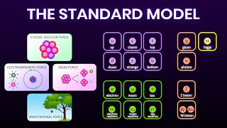 All Fundamental Forces and Particles Explained Simply  Elementary particles [upl. by Ydissahc]