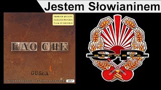 LAO CHE  Jestem Słowianinem OFFICIAL AUDIO [upl. by Ayna]