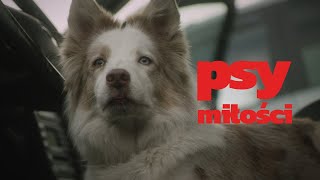 Muchy  Psy miłości feat Nosowska amp Paweł Krawczyk Official Video [upl. by Millburn]