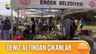 Deniz altından çıkanlar görenleri şoke etti [upl. by Maximilian]