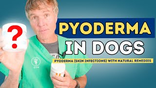 How to Treat Dog Pyoderma Skin Infections with Natural Remedies [upl. by Calvo]