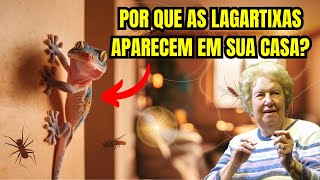 Descubra o Significado Espiritual das Lagartixas em Sua Casa  O Que Elas Querem Te Dizer [upl. by Belia167]