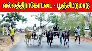 பூஞ்சிட்டு மாடு வல்லத்திராகோட்டை 23042019 vallaththirakottai rekla race mattu vandi panthayam [upl. by Bouton]