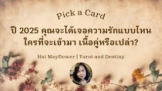 Pick a Card 🍒🌺 ปี 2025 คุณจะได้เจอความรักแบบไหน ใครที่จะเข้ามา เนื้อคู่หรือเปล่า  Hui Mayflower [upl. by Atener]