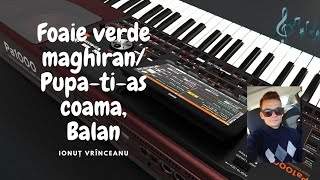 Foaie verde maghiranPupațiaș coama Bălan Cover Korg Pa1000 [upl. by Alesiram]