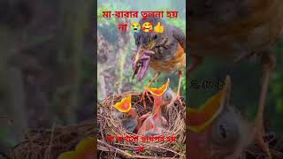 man kokhono sarthak hai na bangla gaanshorts shortsmehar shortsvideo viralshort [upl. by Zoltai548]