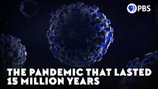 The Pandemic That Lasted 15 Million Years [upl. by Schwing]