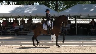 What does a passage look like in Dressage [upl. by Grossman850]