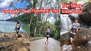 PINEAPPLE DAM TO PAPERBARK TREE TO TAI SHING WATERFALLS indaydina stream hongkong taishing [upl. by Arfihs]