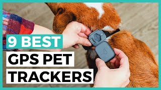 Best Gps Pet Trackers in 2024  How to Choose a Tracker to Keep an Eye on your Pet [upl. by Grady]