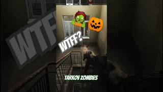 Slightly petrifying tarkov zombiesurvival zombie halloween [upl. by Vevina223]