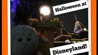 225 Lambie Goes to Mickeys Halloween Party at Disneyland  LambCam [upl. by Arlin]