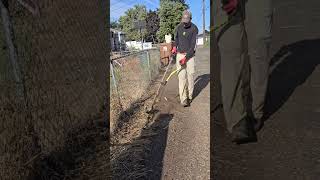 Cleaning Up Fenceline 🌿 cleanup [upl. by Benedicto171]