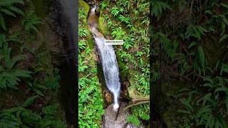 Do NOT miss this GORGEOUS waterfall hike on the Sunshine Coast BC [upl. by Notsyrb269]