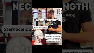 Optimal neck loading for a solid cervical spine 💀 [upl. by Itch]